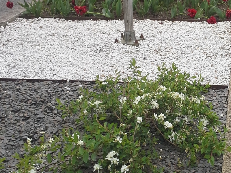 paillage ardoise noire corten